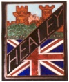 healey badge
