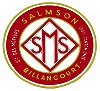 salmson badge